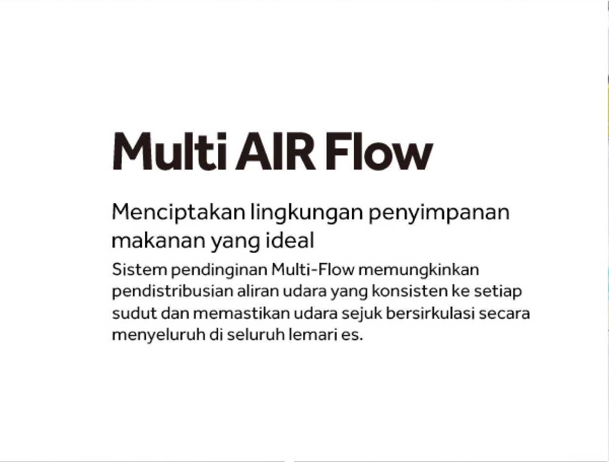 Multi AIR Flow