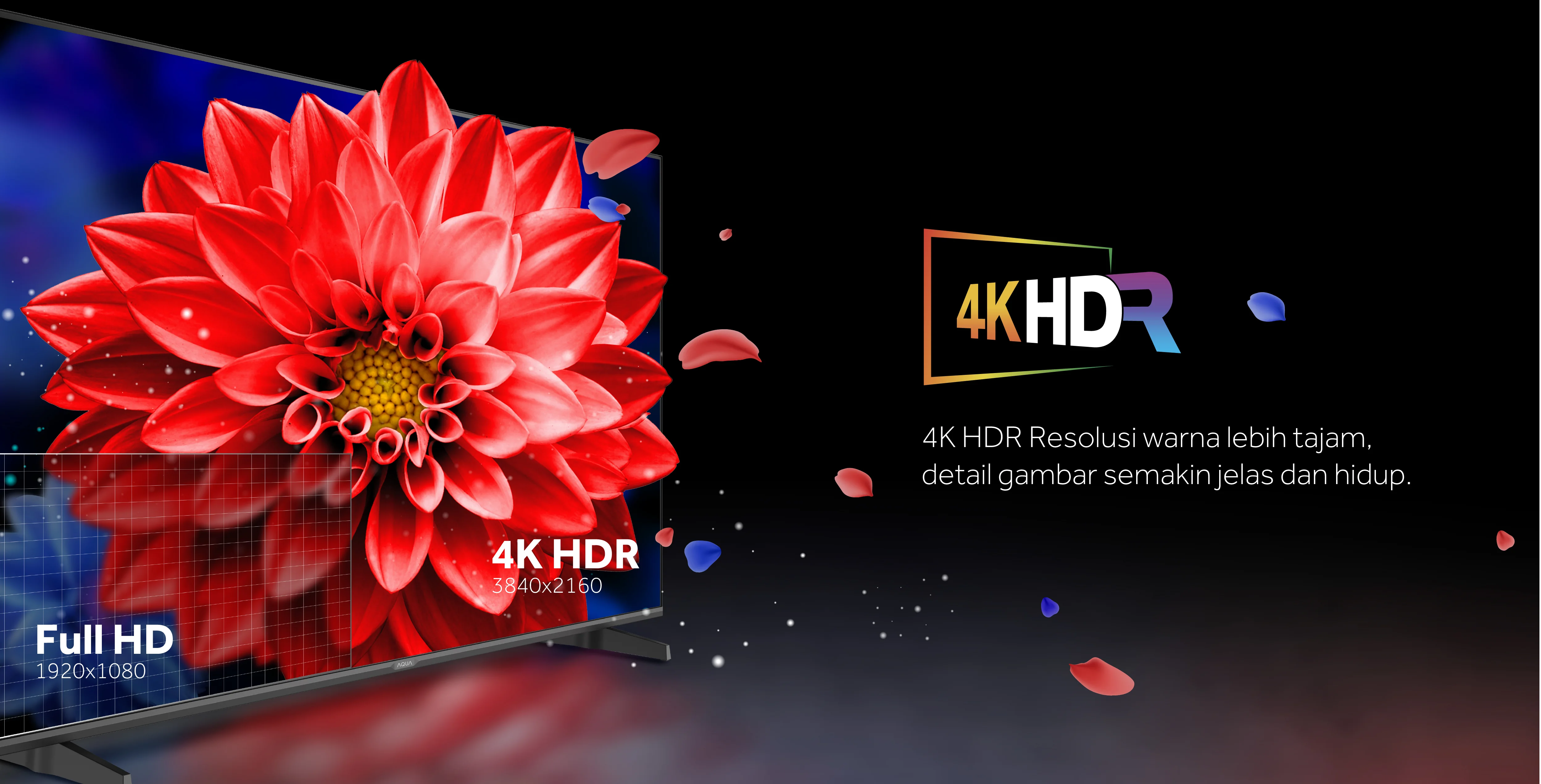 TV 55H5F