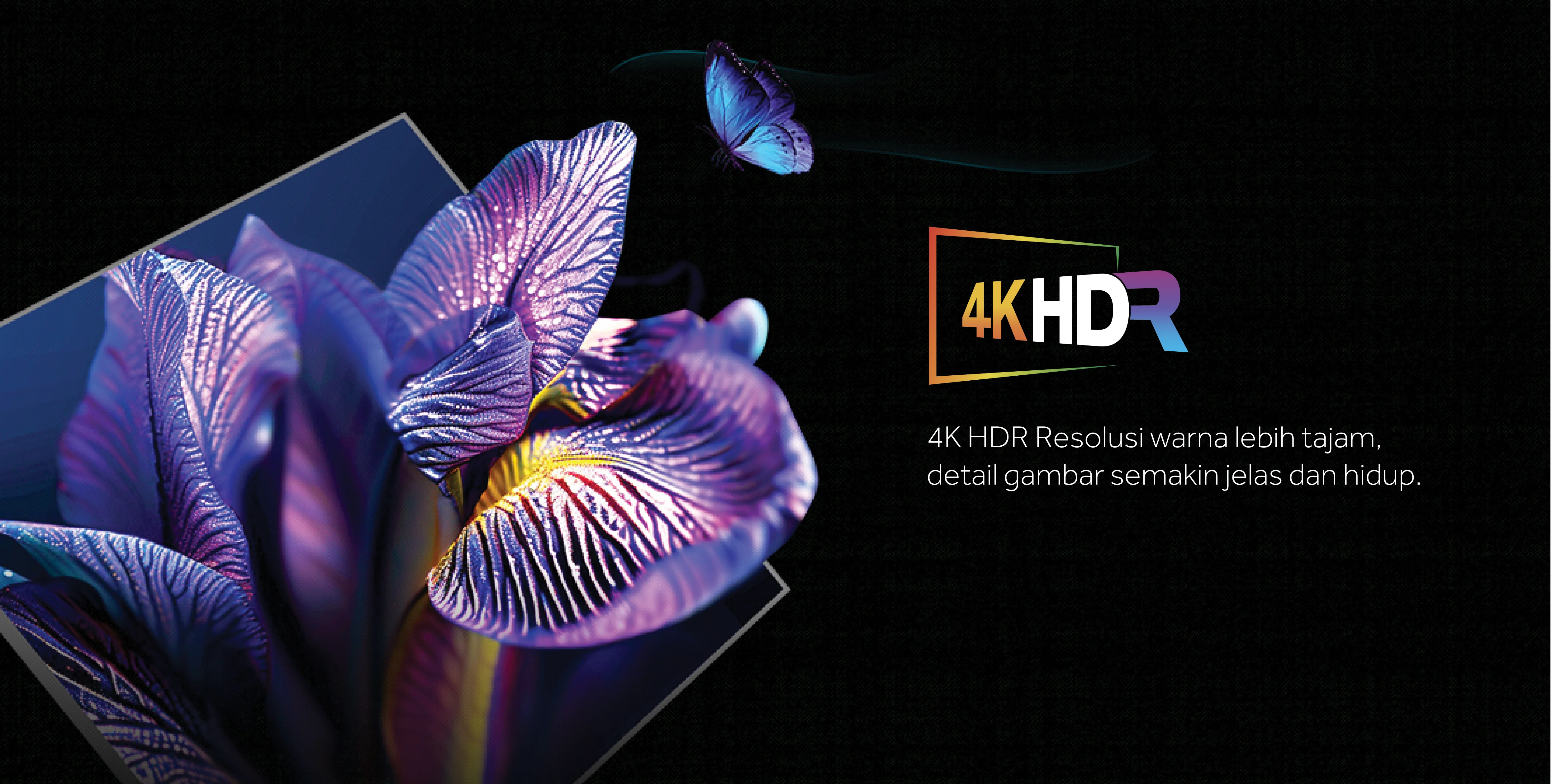 TV AQT65M80FUX-06