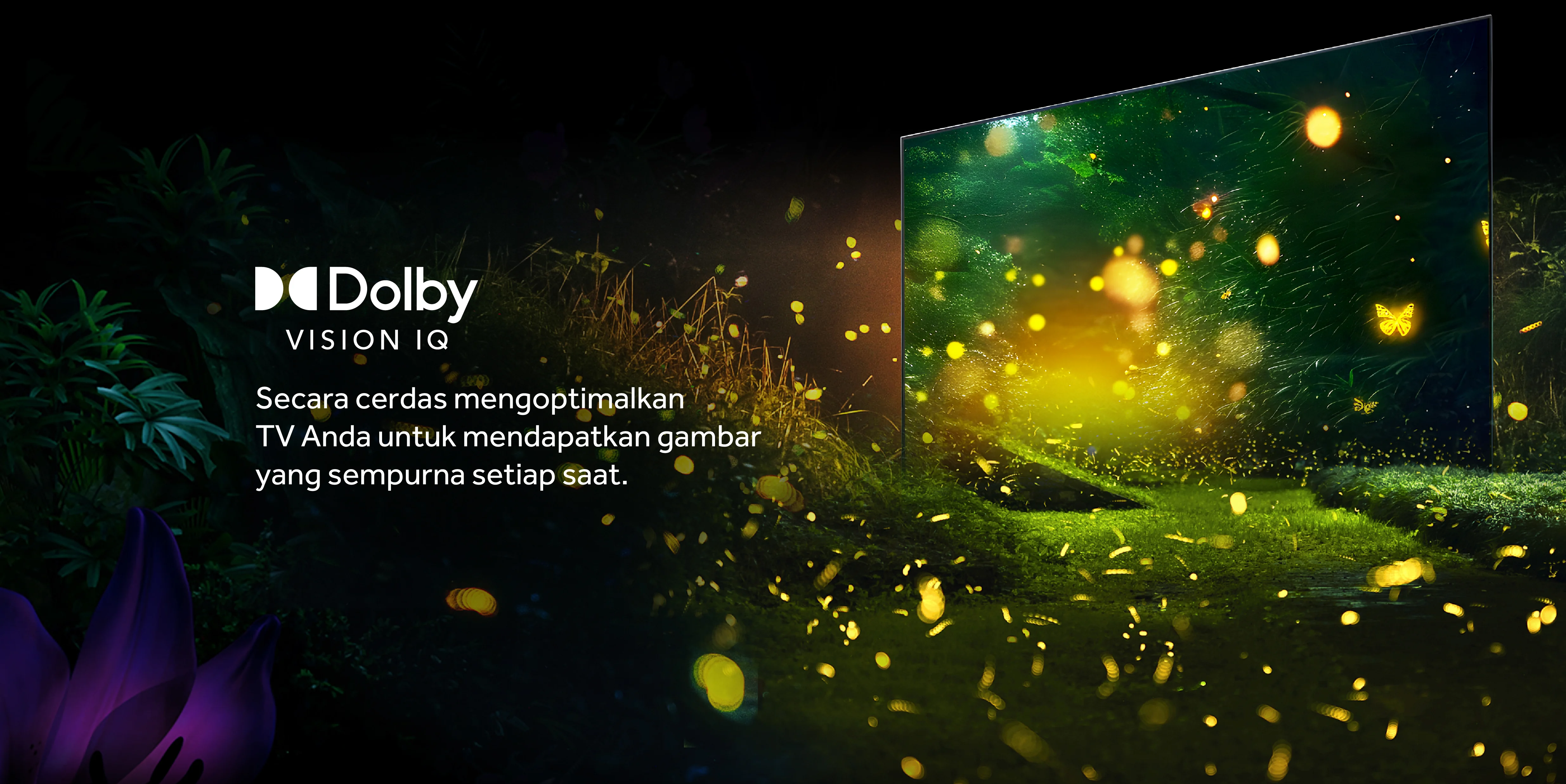 TV AQT65M80FUX-09