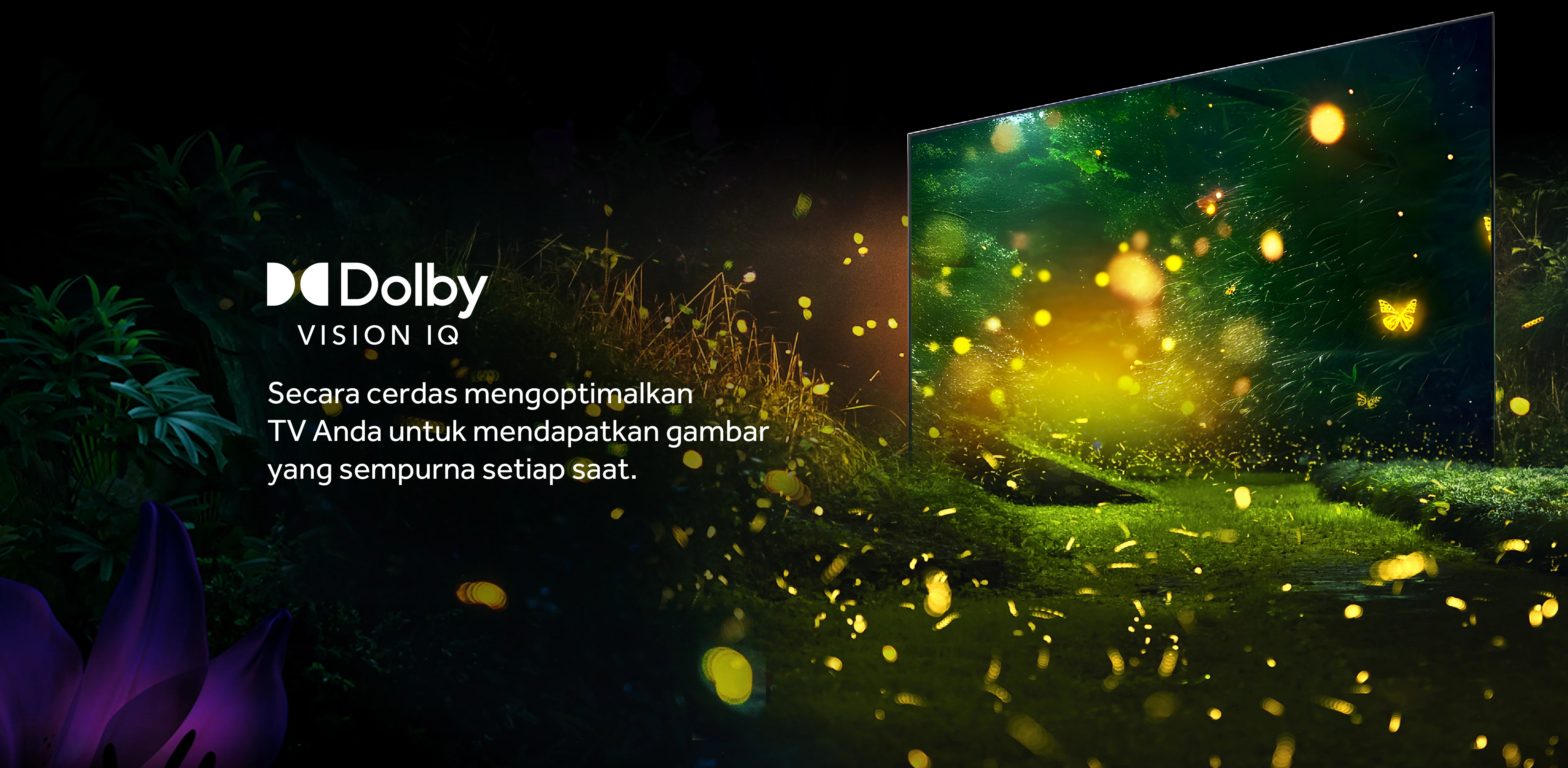 TV AQT75M80FUX-09