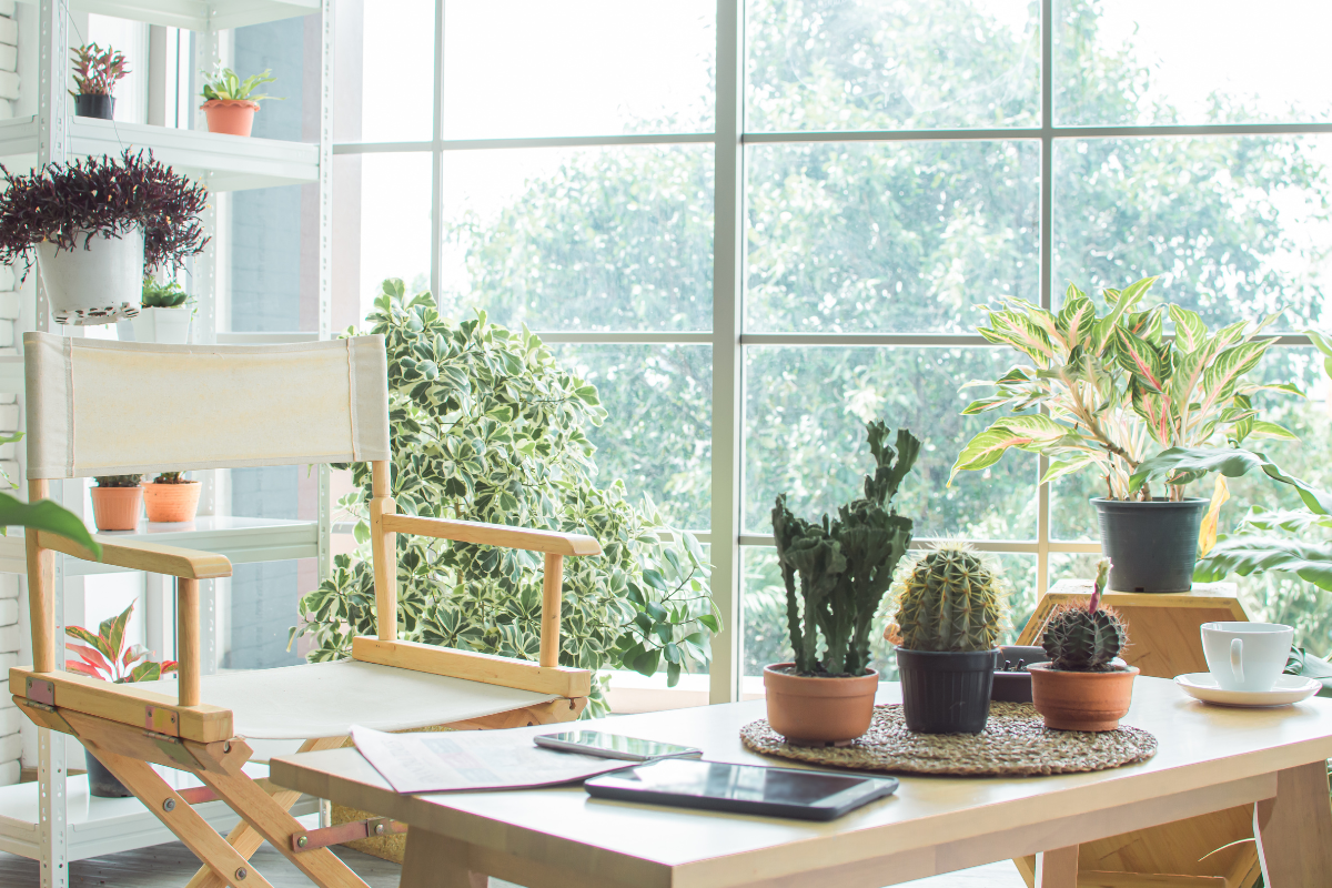 tanaman hias pojok ruang tamu