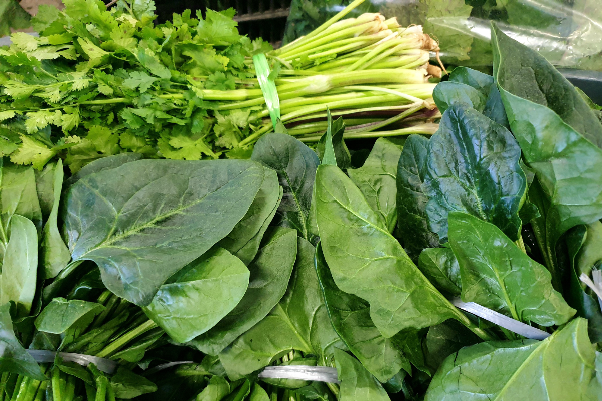 sayuran daun hijau