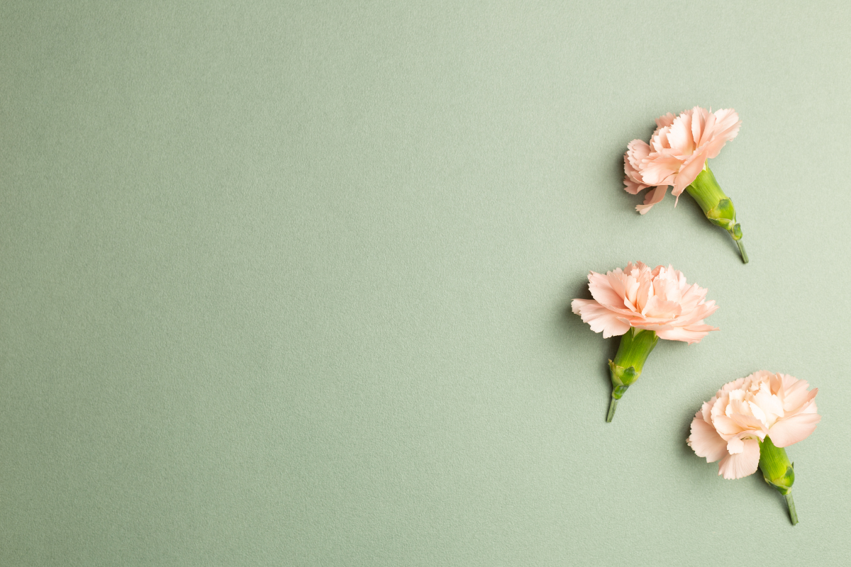 sage green warna